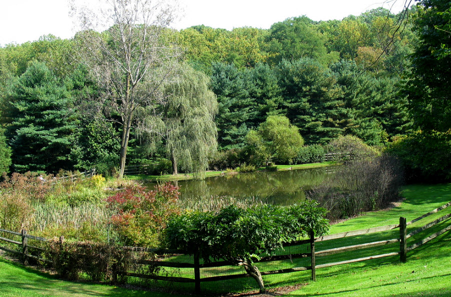 Jenkins Arboretum & Gardens, United States
